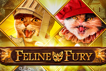 Feline Fury